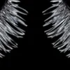 Artdeco 3D Eyelashes