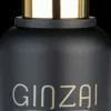 GINZAI Hyaluron Complex Concentrate