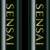 Sensai Designing Liquid Eyeliner