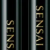 Sensai Styling Eyebrow Pencil