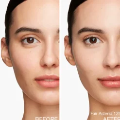 Shiseido Synchro Skin Self-Refreshing Tint