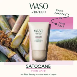 Shiseido Waso Satocane Pore Purifying Scrub Mask