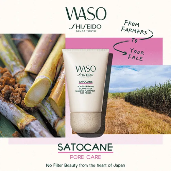 Shiseido Waso Satocane Pore Purifying Scrub Mask