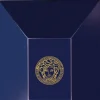 Versace Dylan Blue Perfumed Bath & Shower Gel